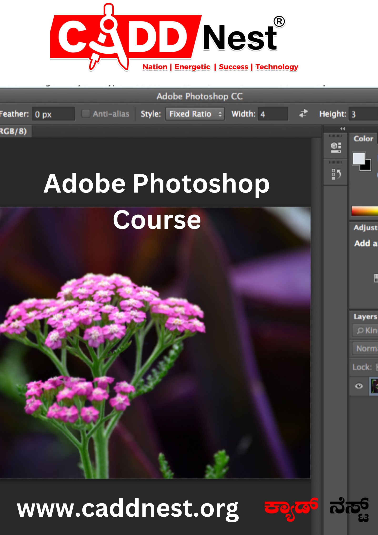 CADD NEST (P) Ltd., - Latest update - adobe photoshop classes