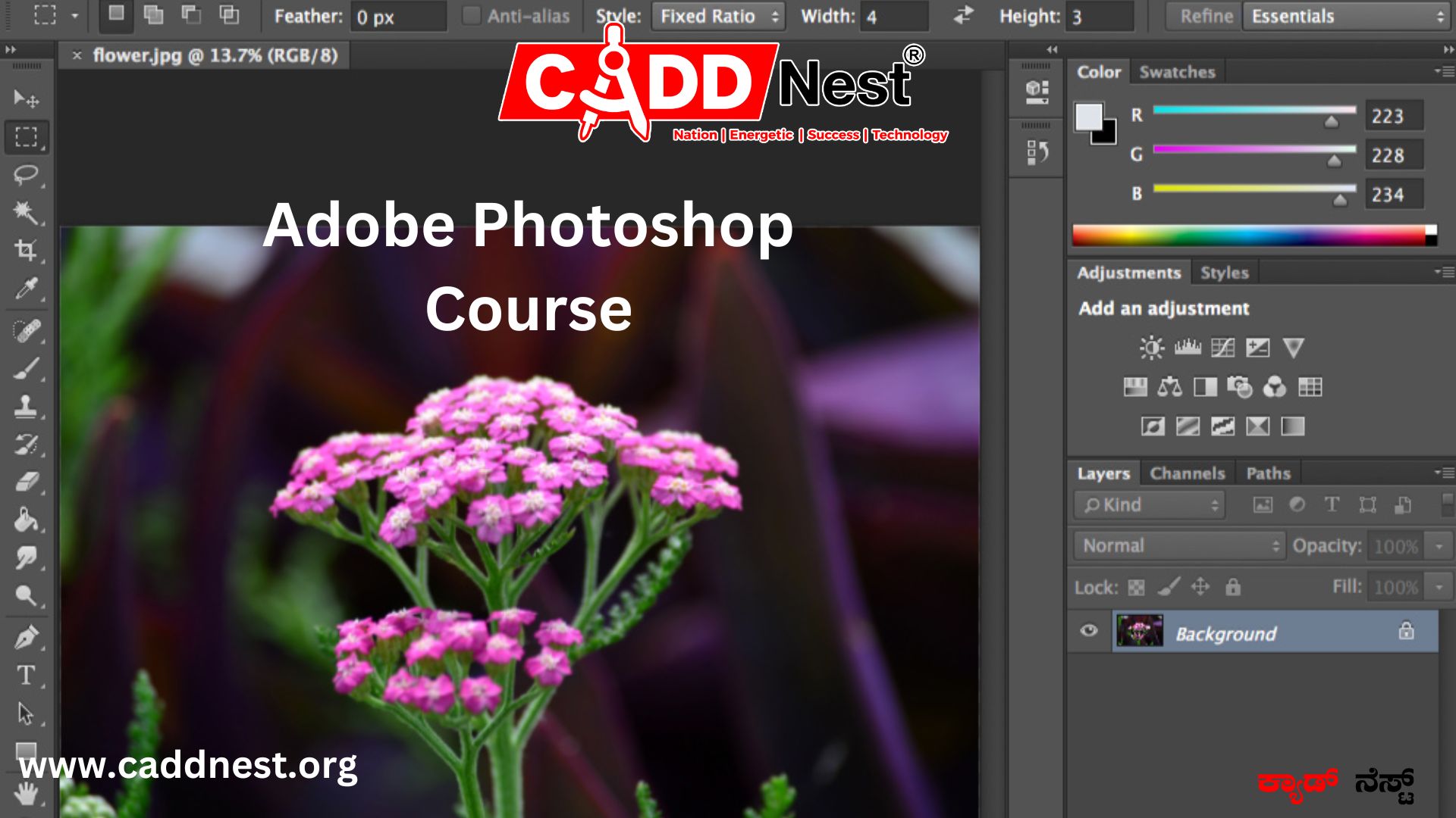 CADD NEST (P) Ltd., - Latest update - adobe photoshop course fees in Bangalore